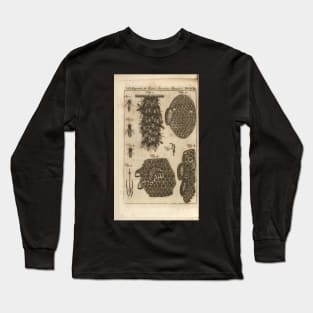 The bees 1774 - Paul Revere Long Sleeve T-Shirt